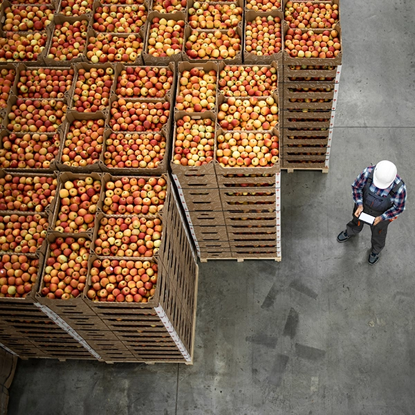 Cassette della frutta impilate all’interno di un magazzino